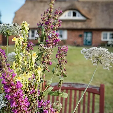 Gut Glueck * Lancken-Granitz