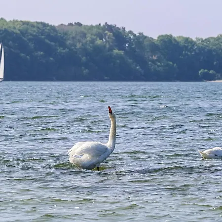 Gut Glueck בית נופש