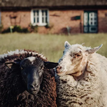 בית נופש Gut Glueck *