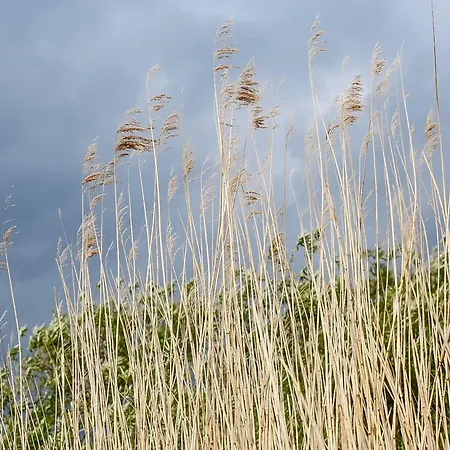 Gut Glueck בית נופש